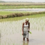 Casamance