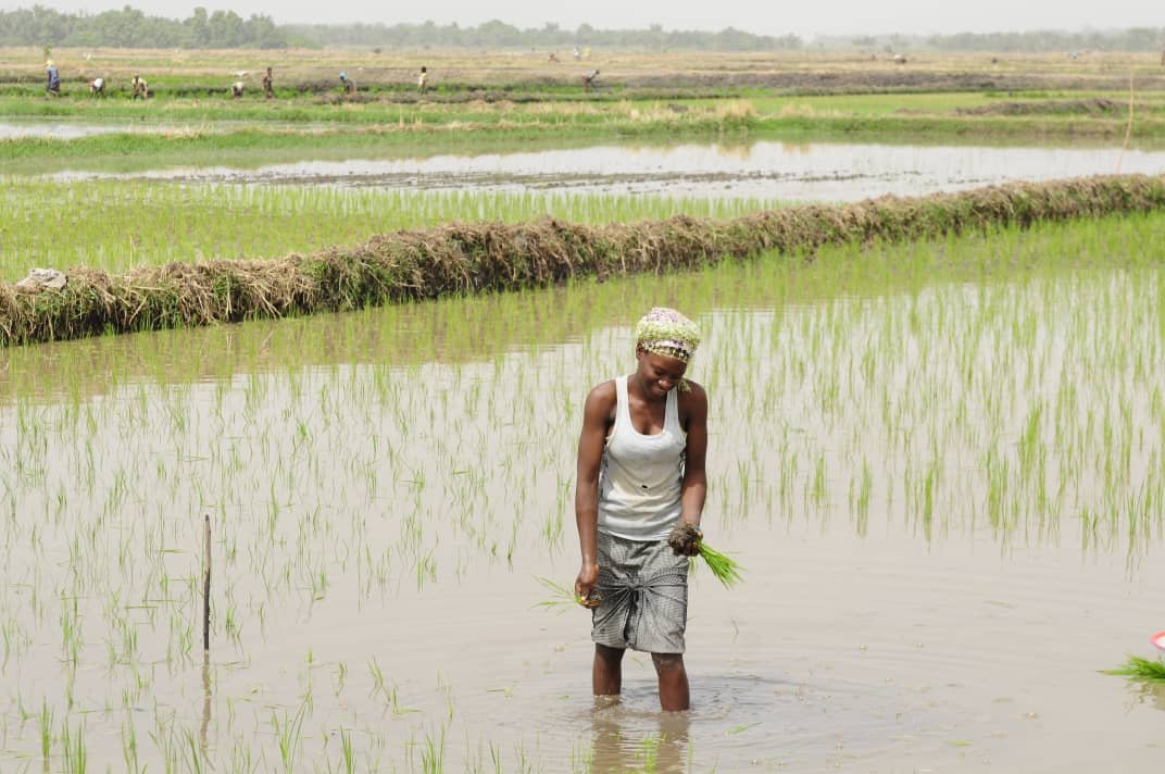 Casamance : un joyau préservé