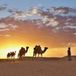 Mauritanie