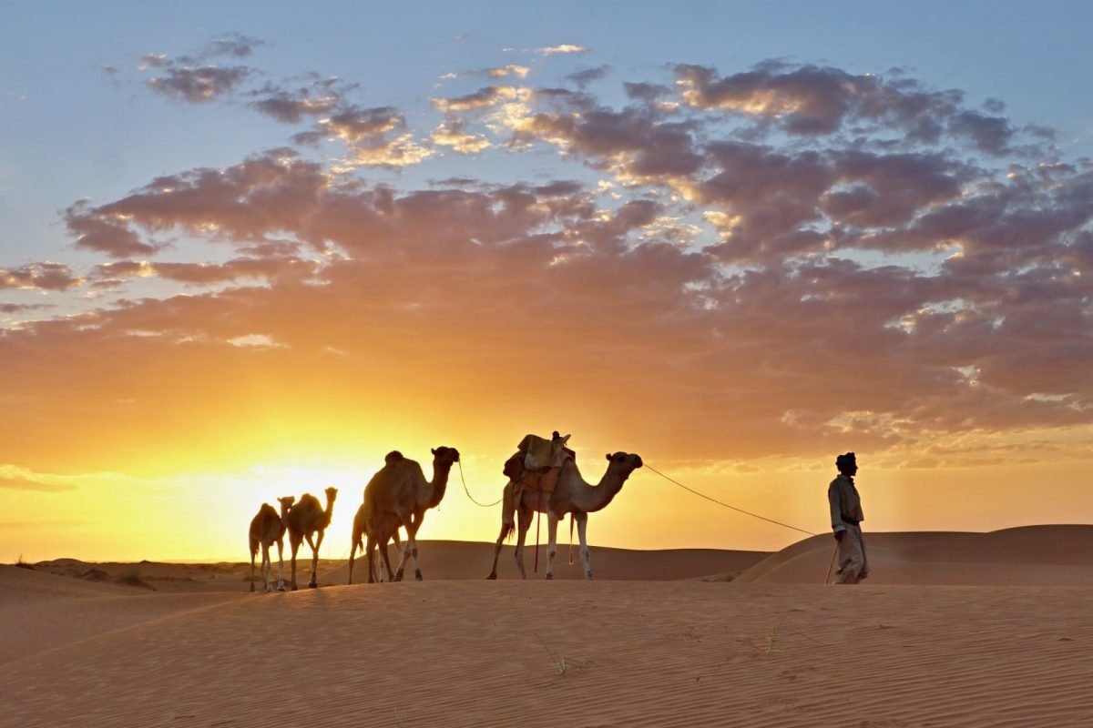 Mauritanie : une terre de contrastes