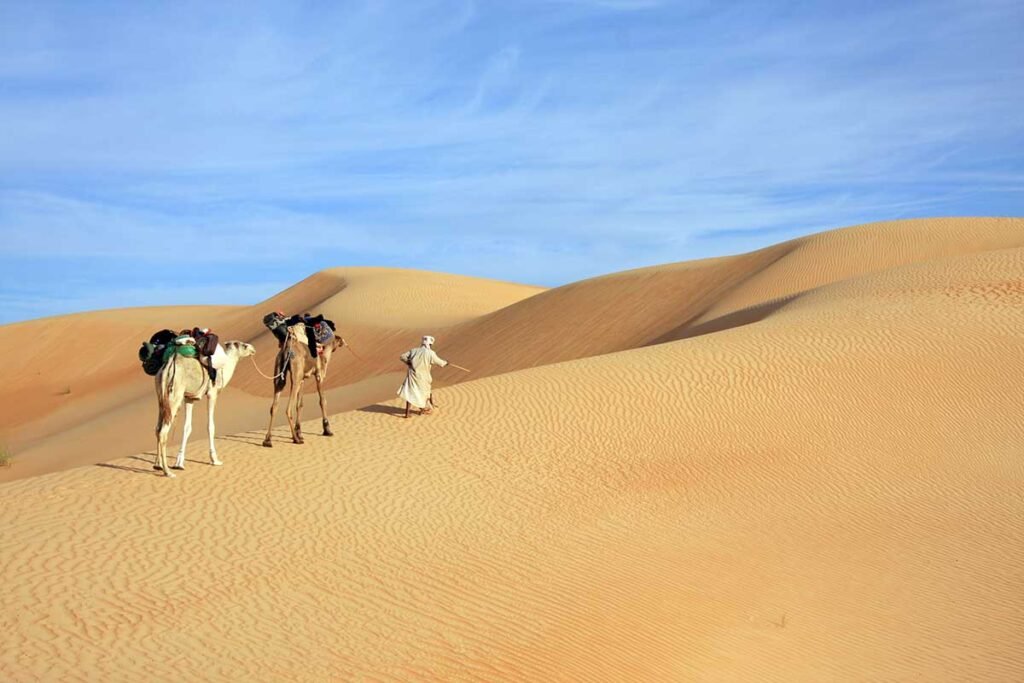 Le désert du Sahara