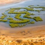 Les Îles du Saloum