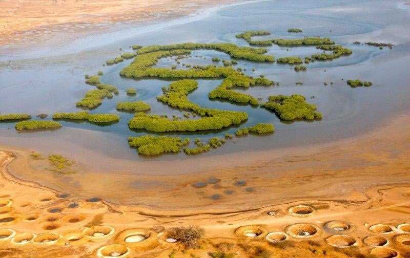 Les Îles du Saloum : Un joyau naturel à découvrir