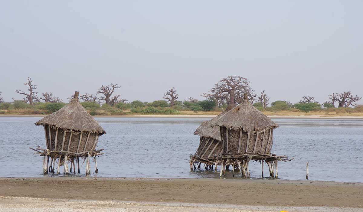 Que faire aux Îles du Saloum : Guide complet