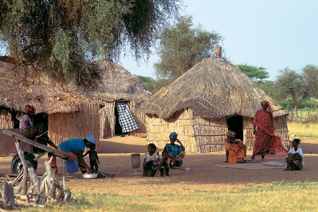 Que faire aux Îles du Saloum