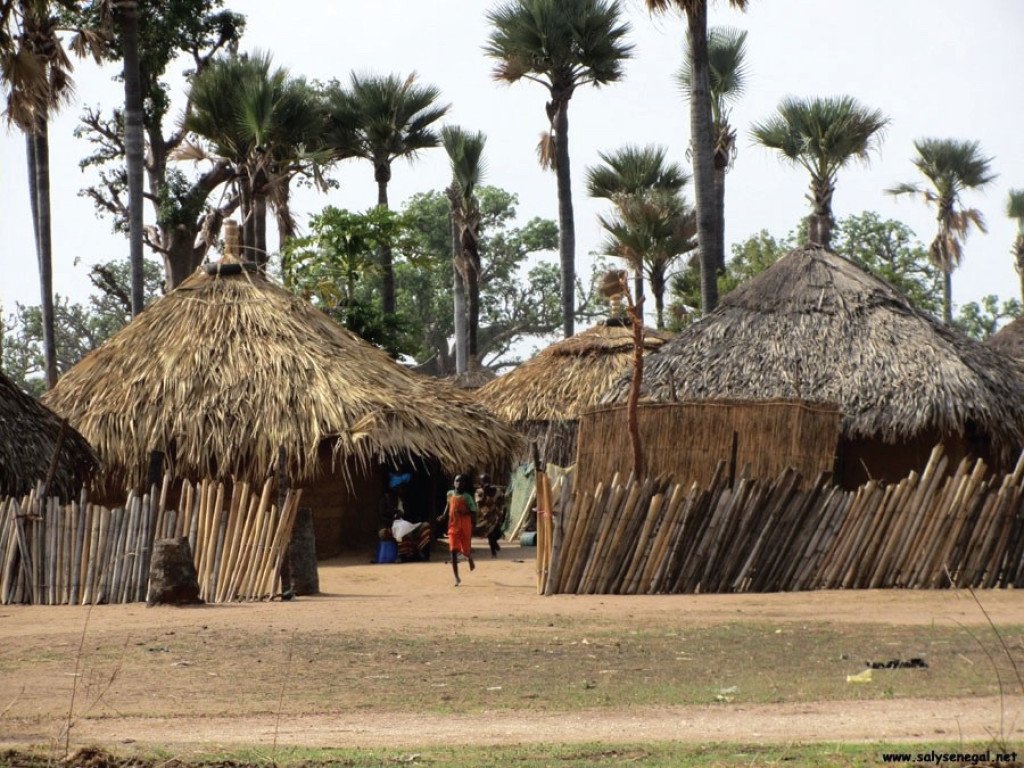 Que faire aux Îles du Saloum