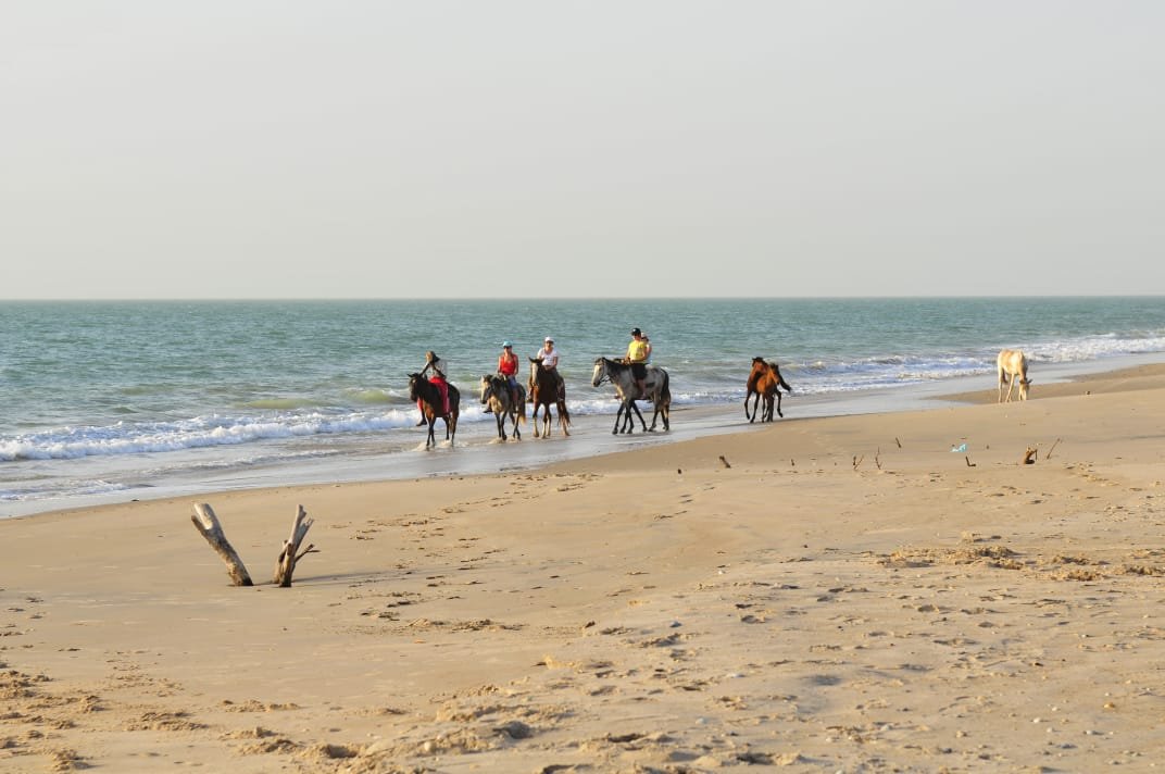 Guide d’Excursions